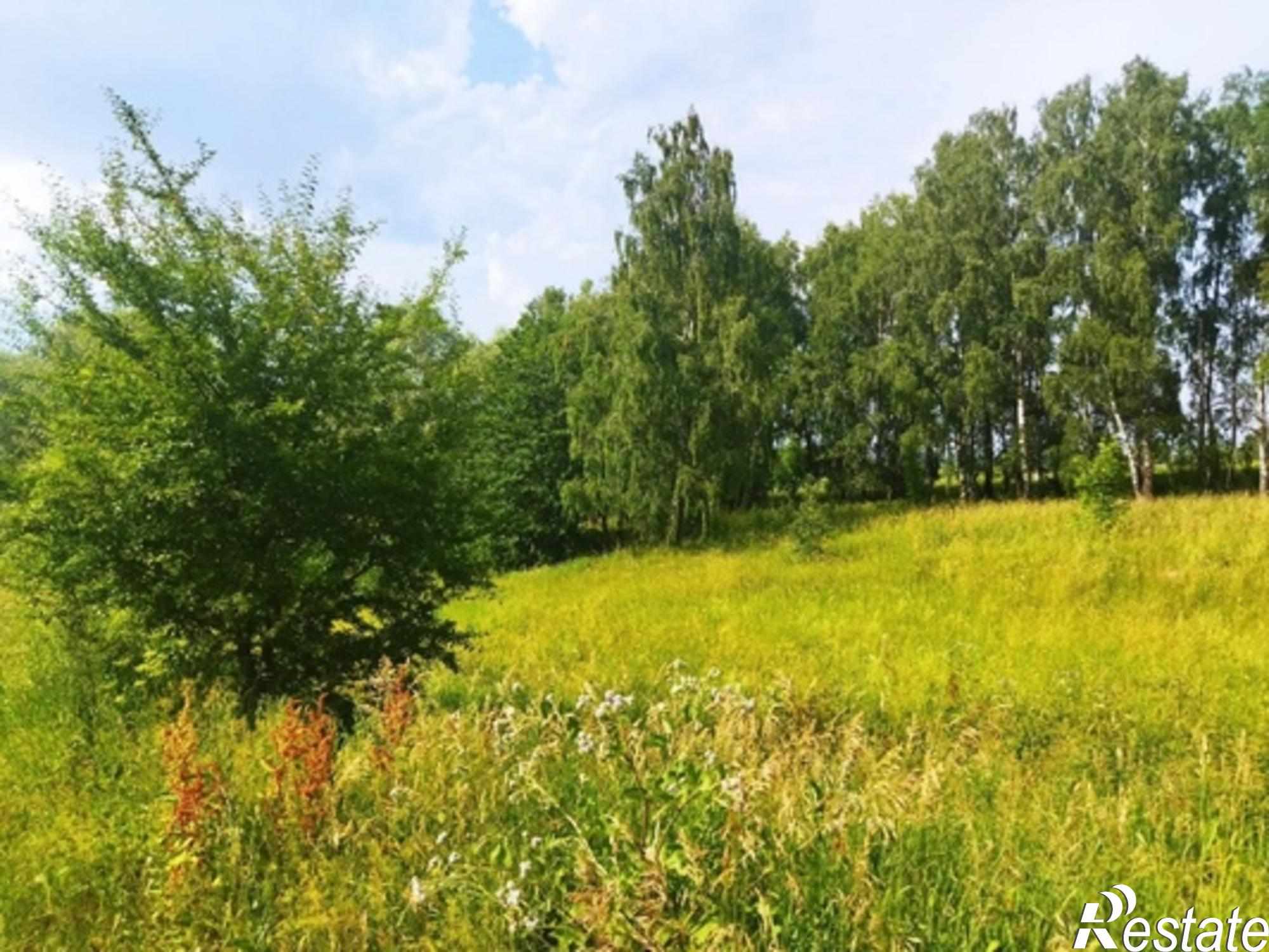 Купить землю, земельный участок за 250 000 рублей на Гайтурово д, Гайтурово д