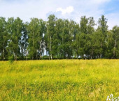 земля 9 сот Гайтурово д, Гайтурово д