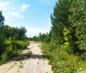 земля 20 сот Белугино д, Белугино д
