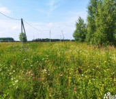 земля 10 сот Белугино д, Белугино д