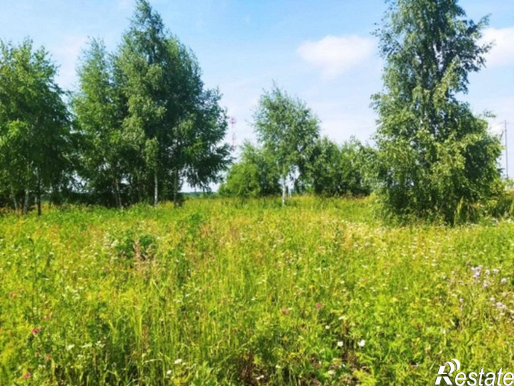 Земельный участок Белугино д, Белугино д
