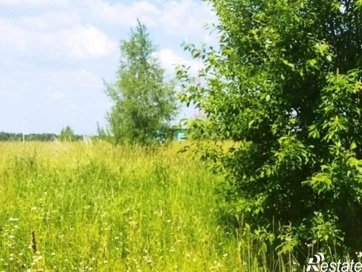 Земельный участок Белугино д, Белугино д