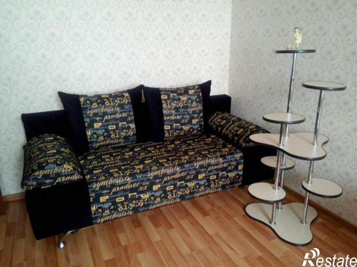 1-комн квартира Центральный район, 3