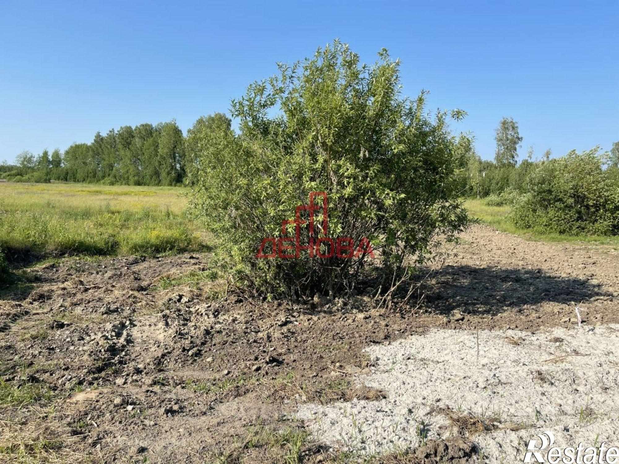 Купить землю, земельный участок за 155 000 000 рублей на Горьковка с