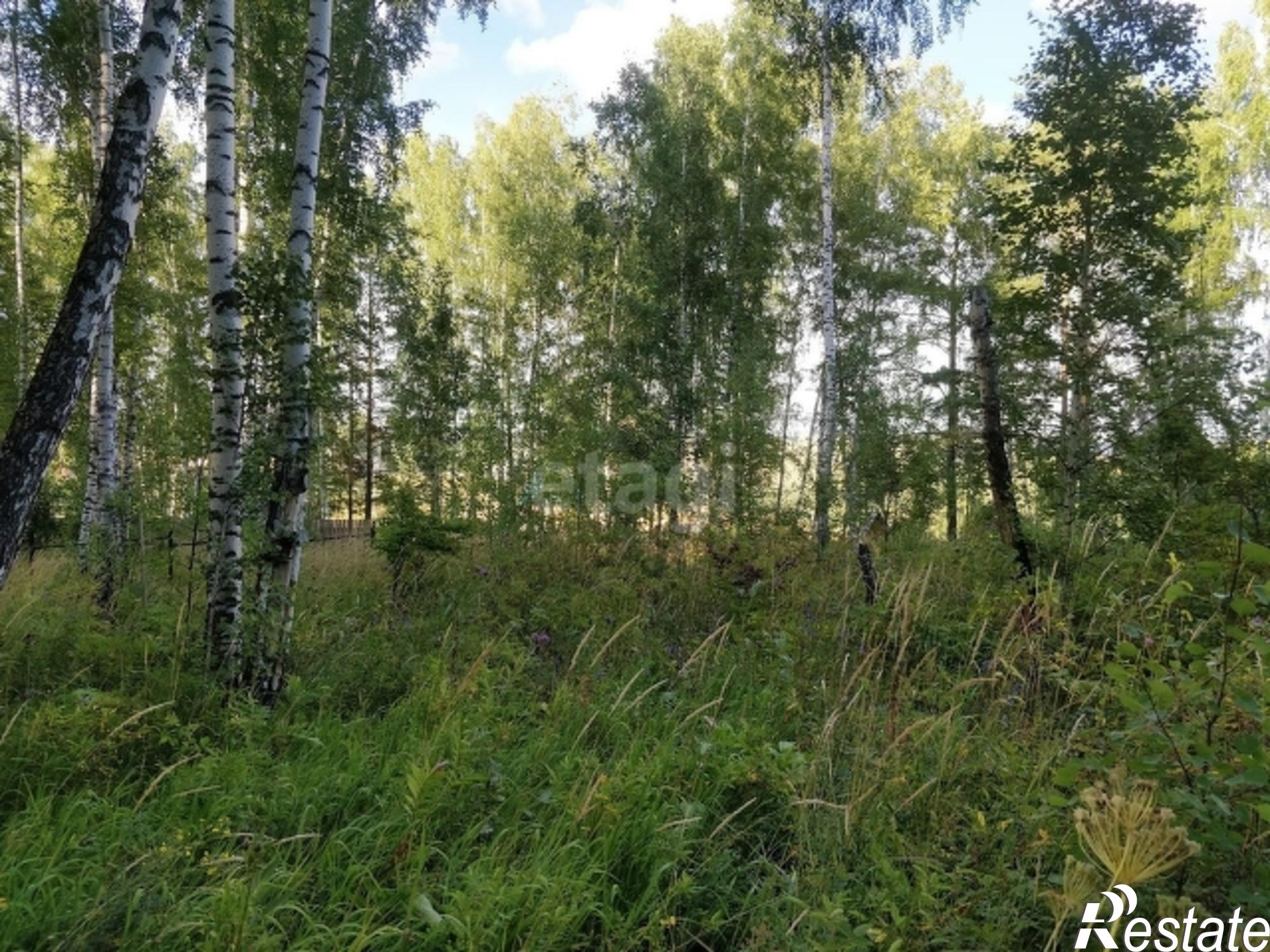 Купить землю, земельный участок за 1 000 000 рублей