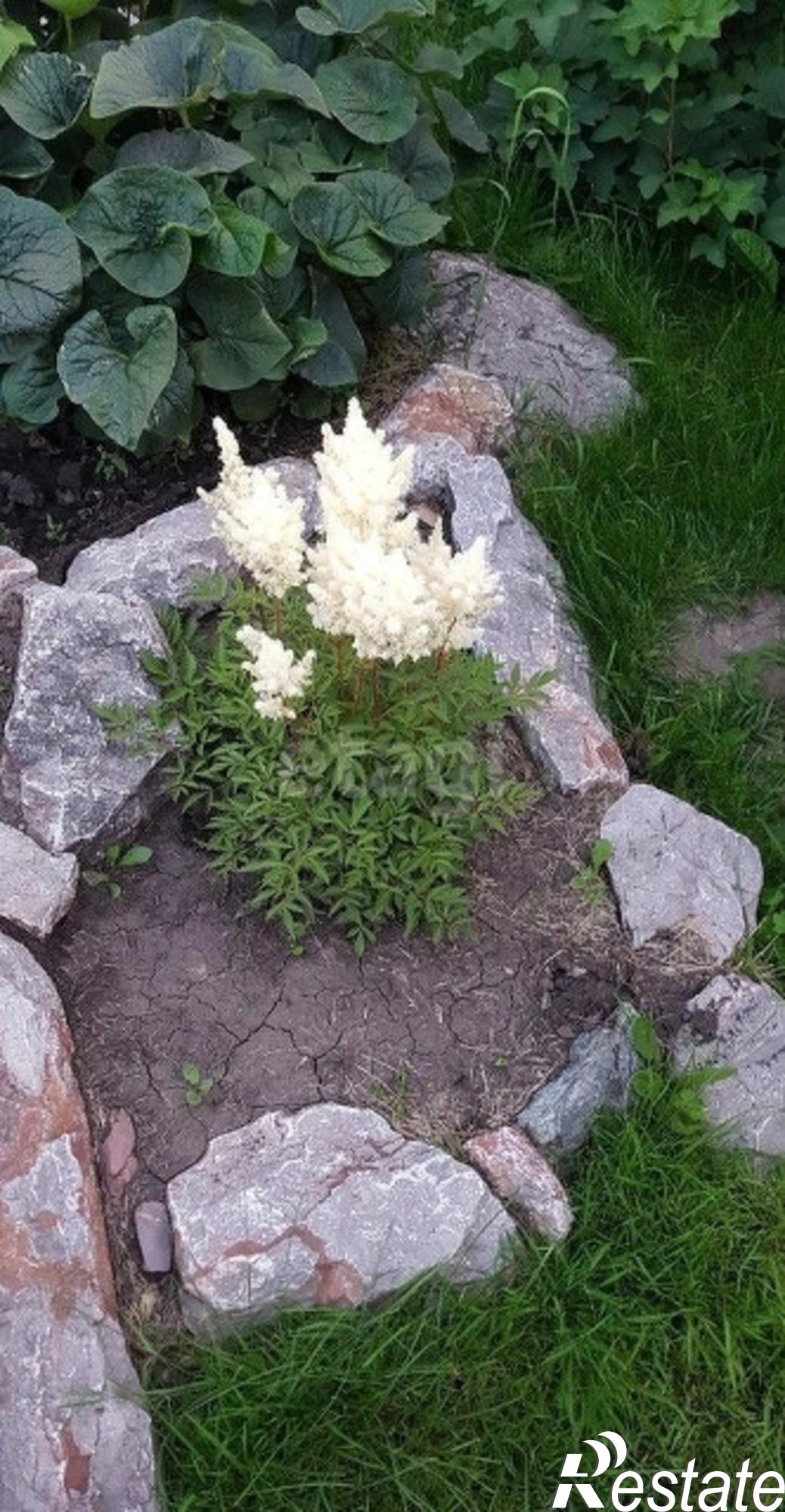 Купить дачу, дом, коттедж за 8 500 000 рублей на Сосновая улица