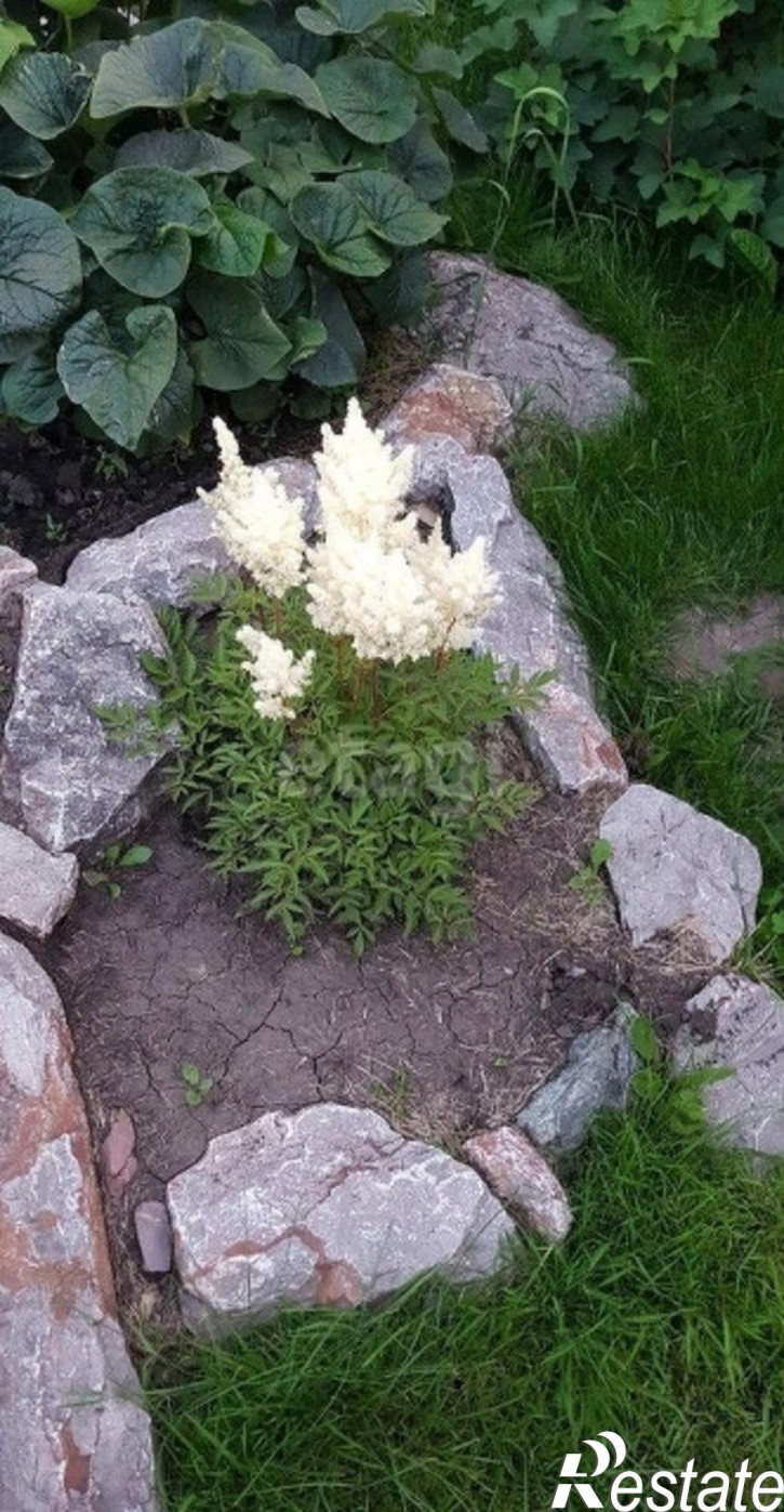 Коттедж/дом Сосновая улица