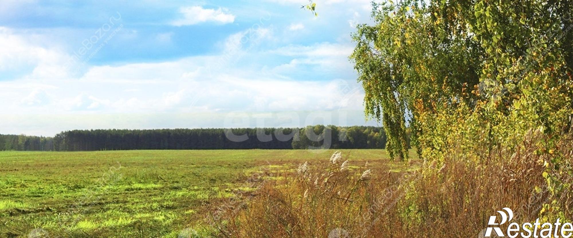 Купить землю, земельный участок за 2 900 000 рублей на село Горьковка