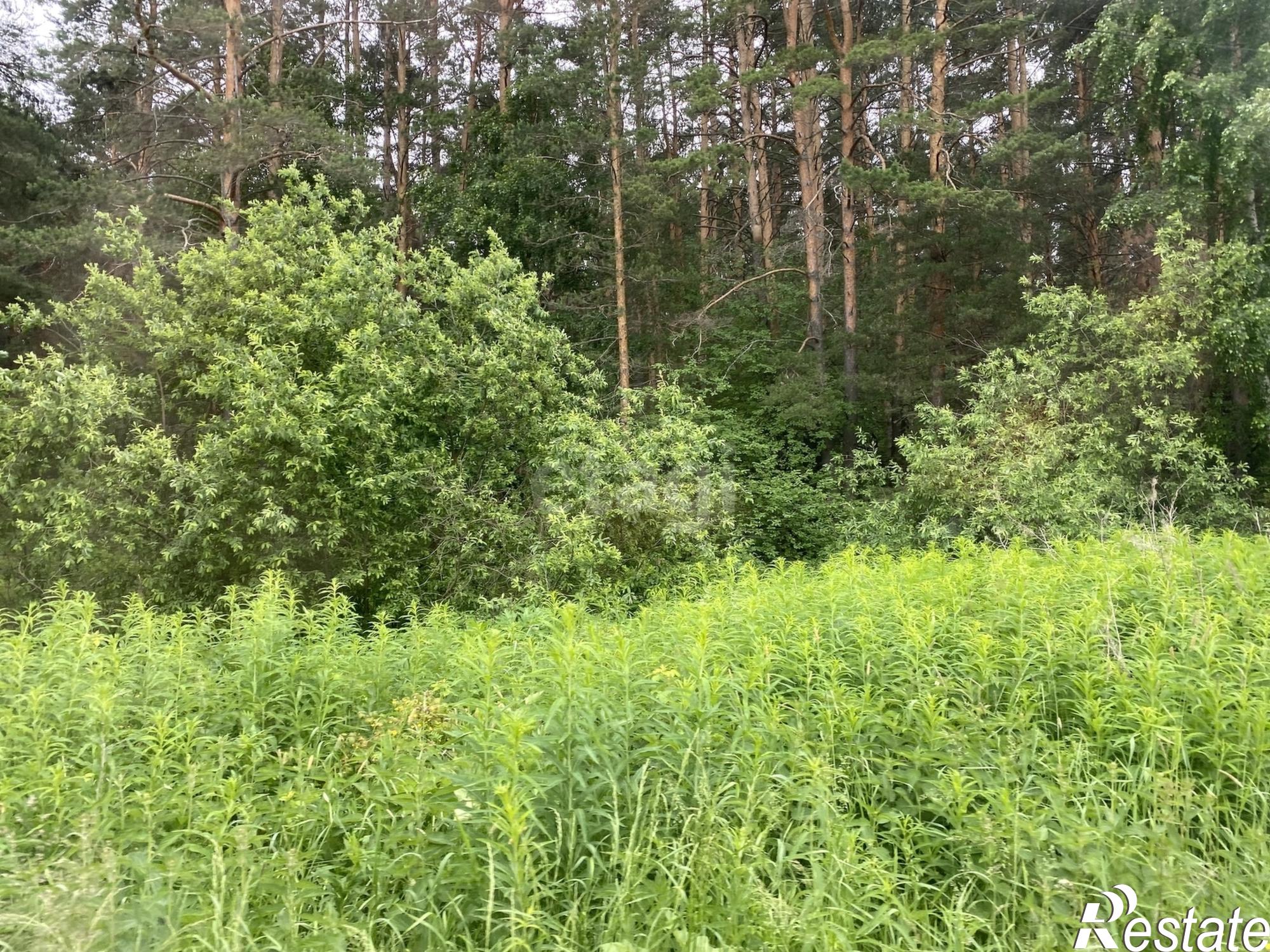 Купить землю, земельный участок за 4 000 000 рублей на Центральная,