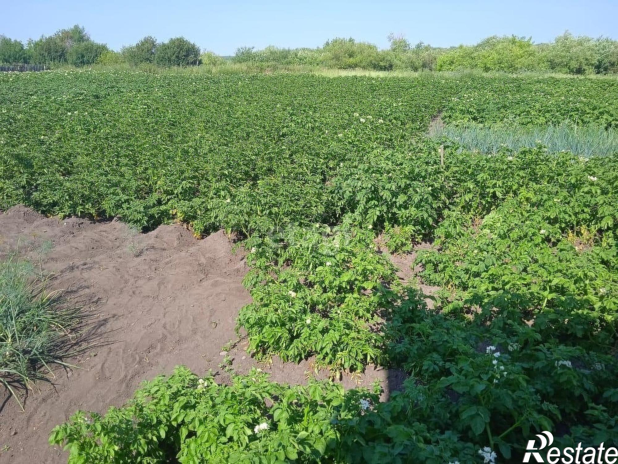 Купить дачу, дом, коттедж за 700 000 рублей на Октябрьская, 14