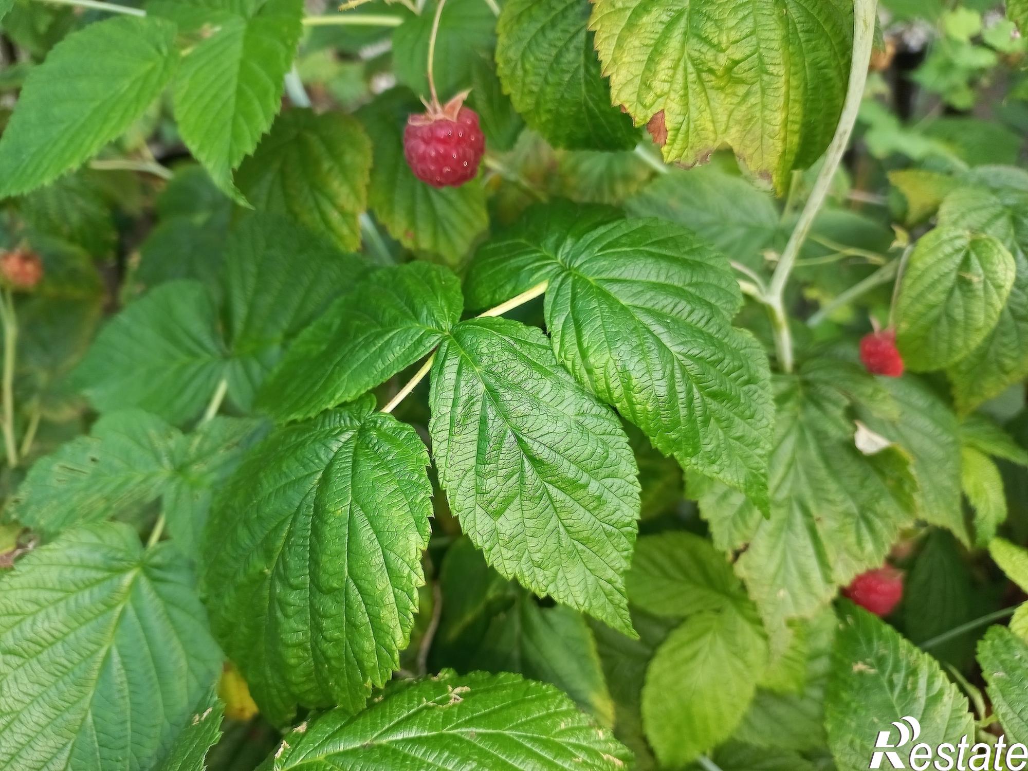 Купить дачу, дом, коттедж за 3 600 000 рублей на Веселая, 28