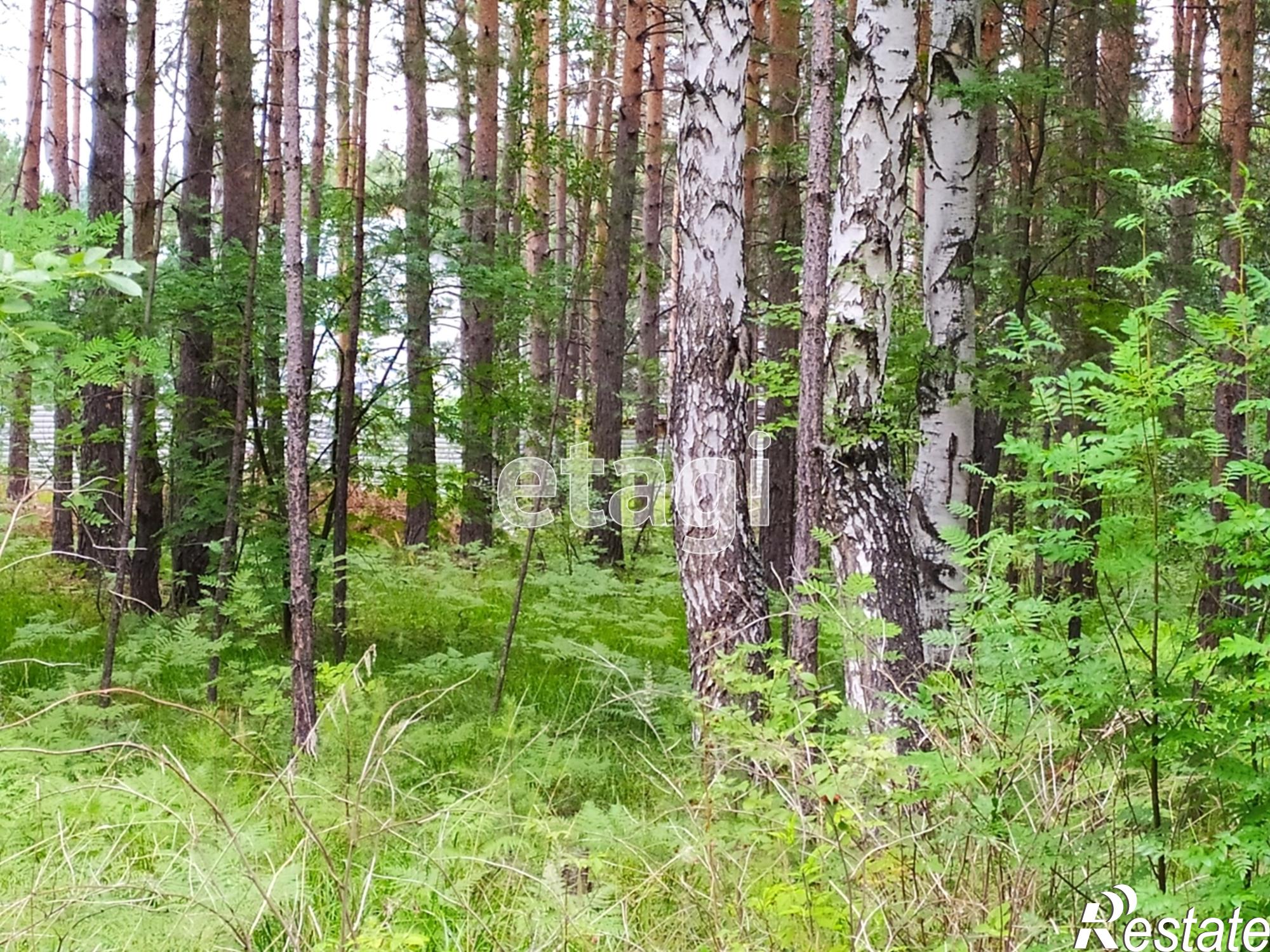 Купить землю, земельный участок за 250 000 рублей на Мариинск,Краснолесья 16А