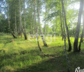 земля 5574.98 сот деревня Большой Хутор