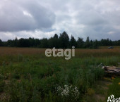 земля 12000 сот Ярковский район