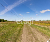 земля 30 сот Новая,