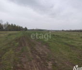 земля 16.74 сот Мотуши