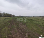 земля 17.57 сот Мотуши