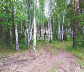 земля 14.5 сот Мариинск,Краснолесья 16А