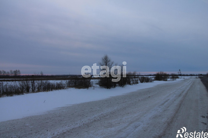 Земельный участок Тюменский район, село Борки