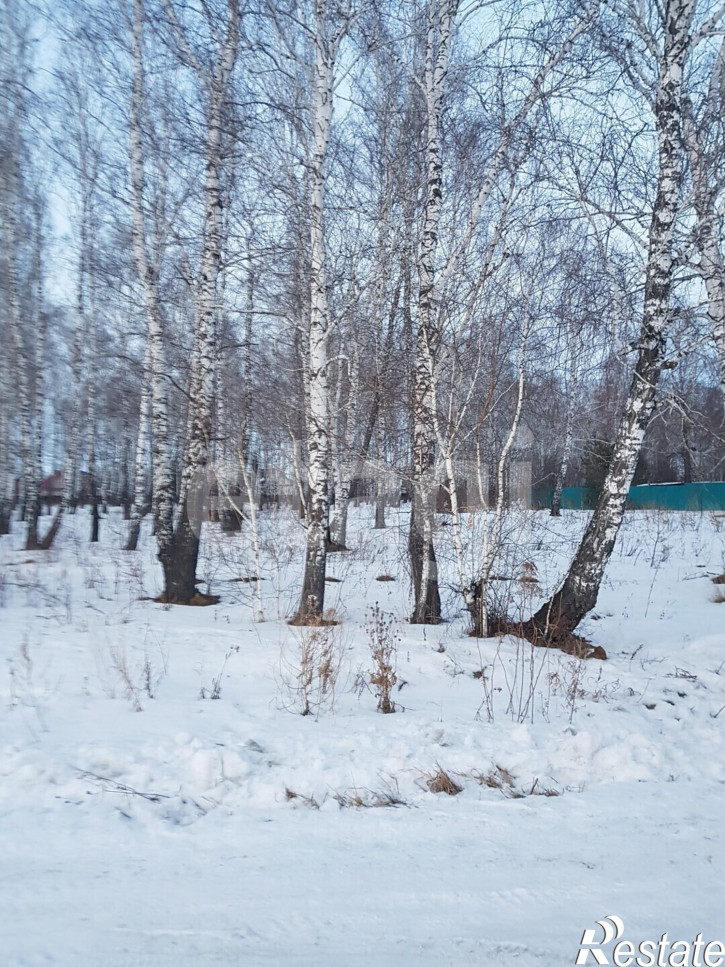 Земельный участок Березовая 156