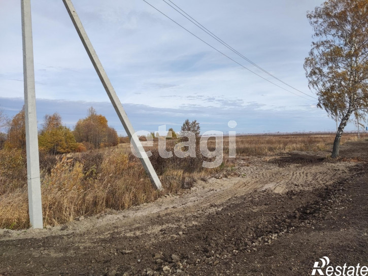 Земельный участок Тюменский район, село Борки