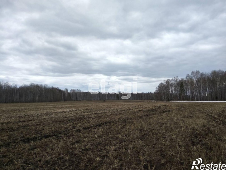 Земельный участок село Успенка