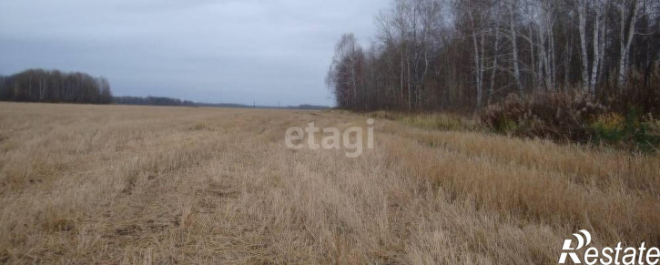 Земельный участок Нижнетавдинский район,село Велижаны