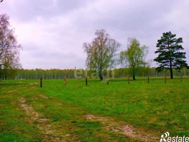 Земельный участок село Горьковка