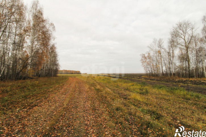 Земельный участок село Горьковка