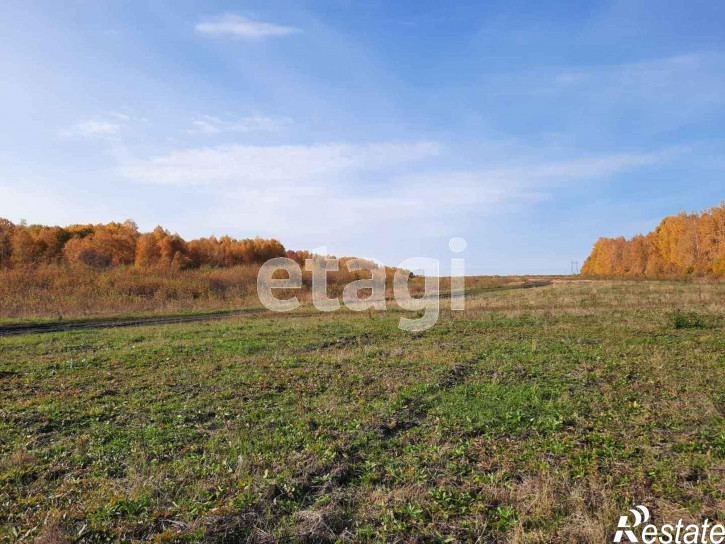 Земельный участок Кулига