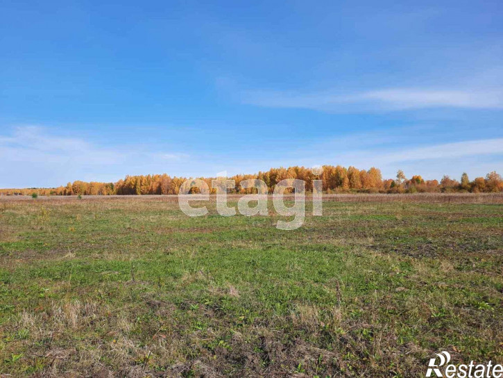 Земельный участок Кулига