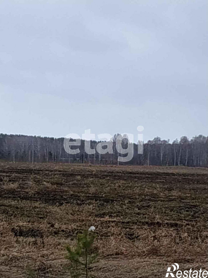 Земельный участок Падерина