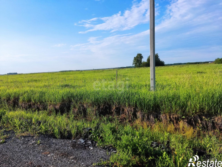 Земельный участок Олега Антонова,