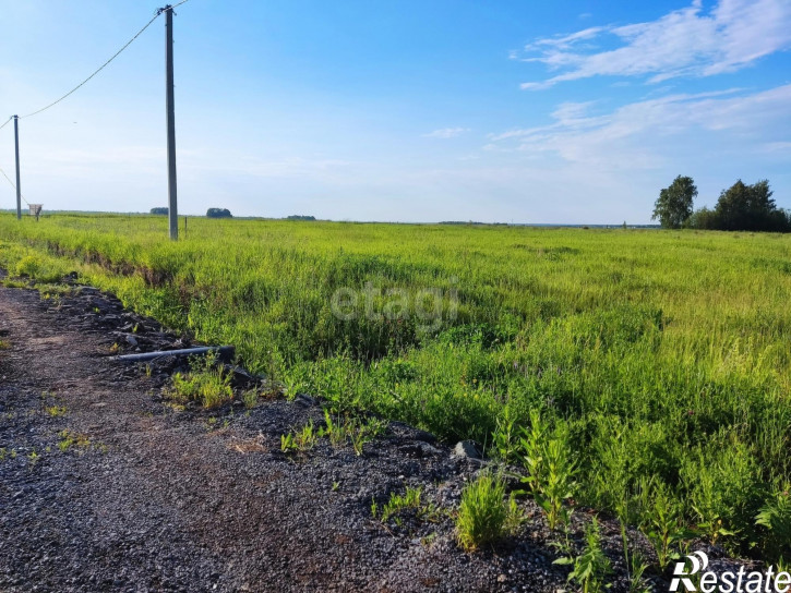Земельный участок Олега Антонова,