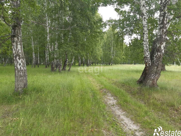 Земельный участок Дорожная,