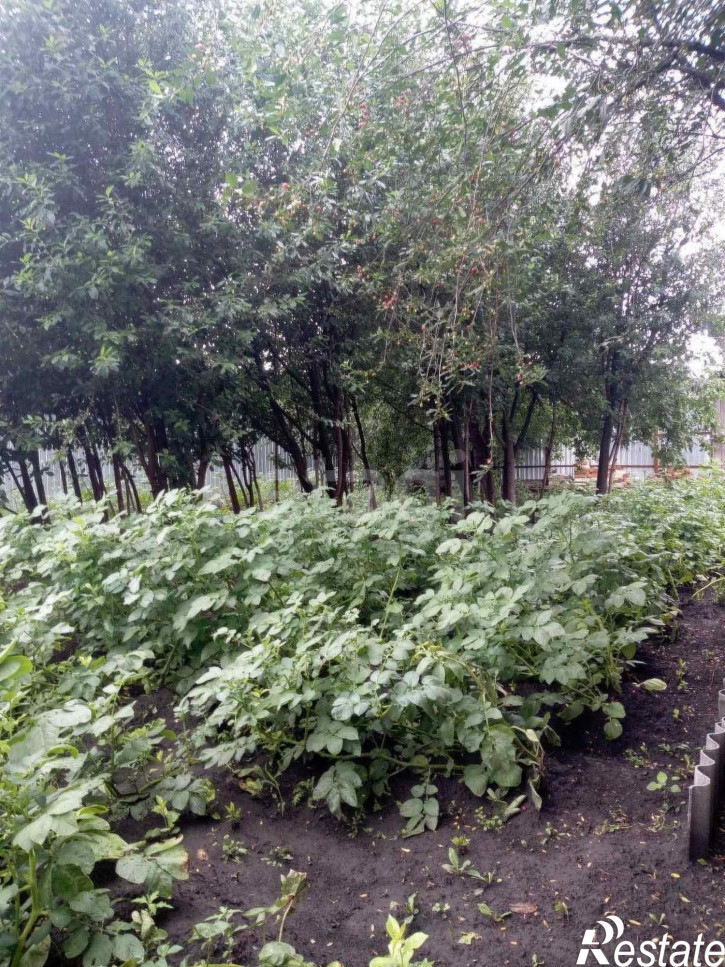 Коттедж/дом Амурская,