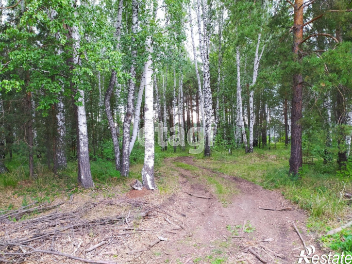 Земельный участок Мариинск,Краснолесья 16А