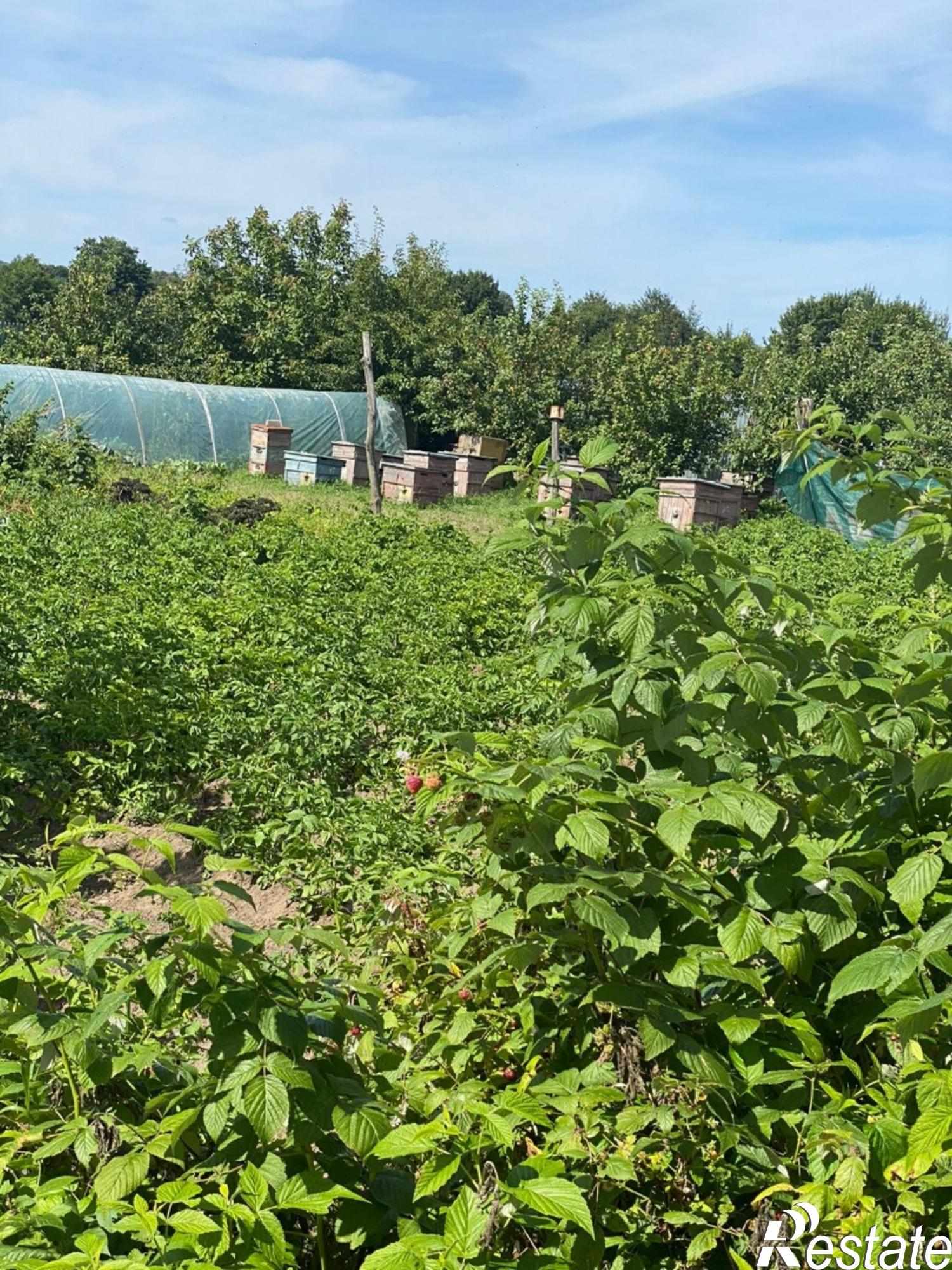 Купить дачу, дом, коттедж за 5 300 000 рублей на Новая  улица, д.21