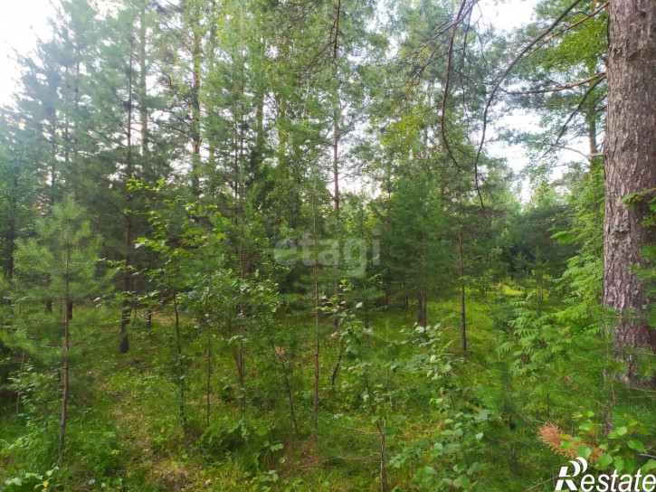 Земельный участок Ледянка , 800