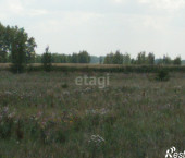 земля 10.9 сот Южная,