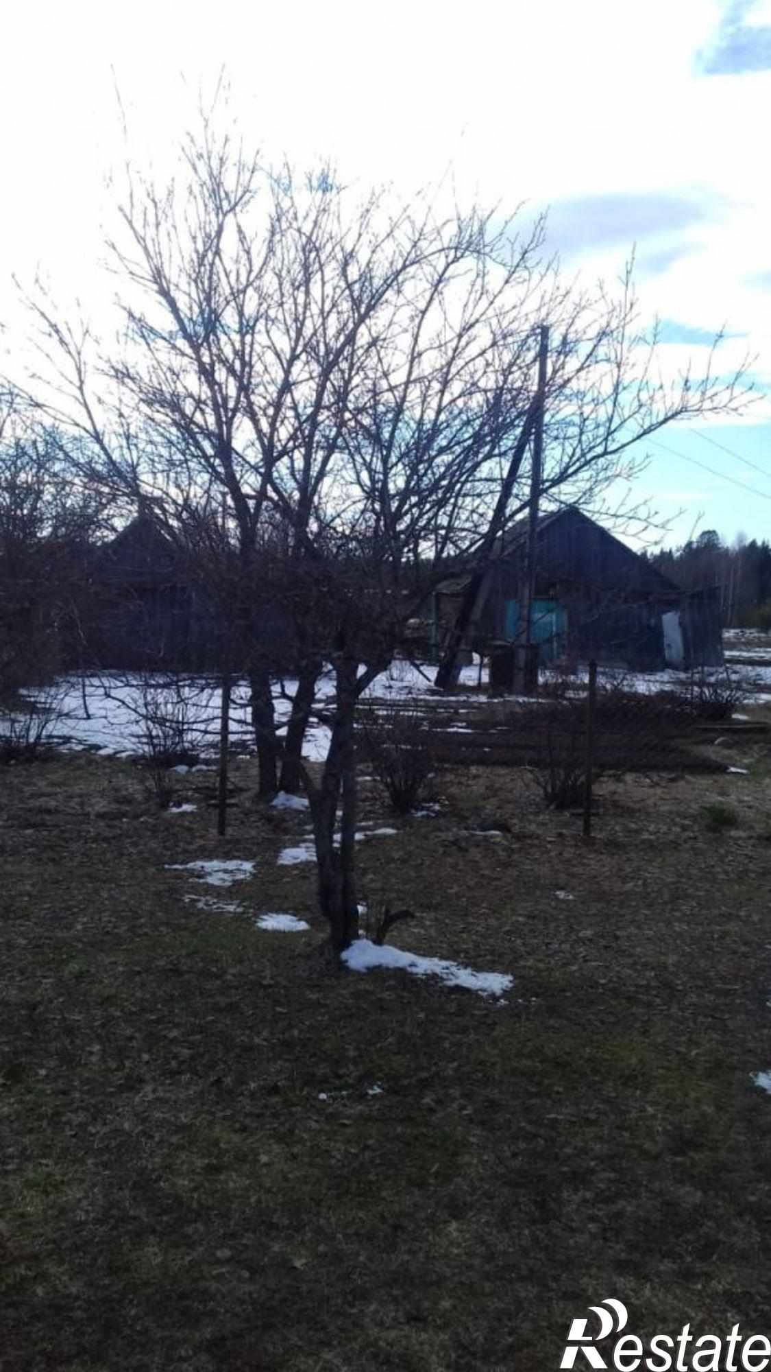 Купить дачу, дом, коттедж за 500 000 рублей на новая , 3