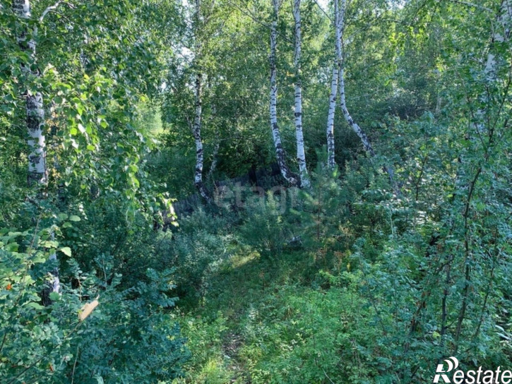 Земельный участок Ореховская улица