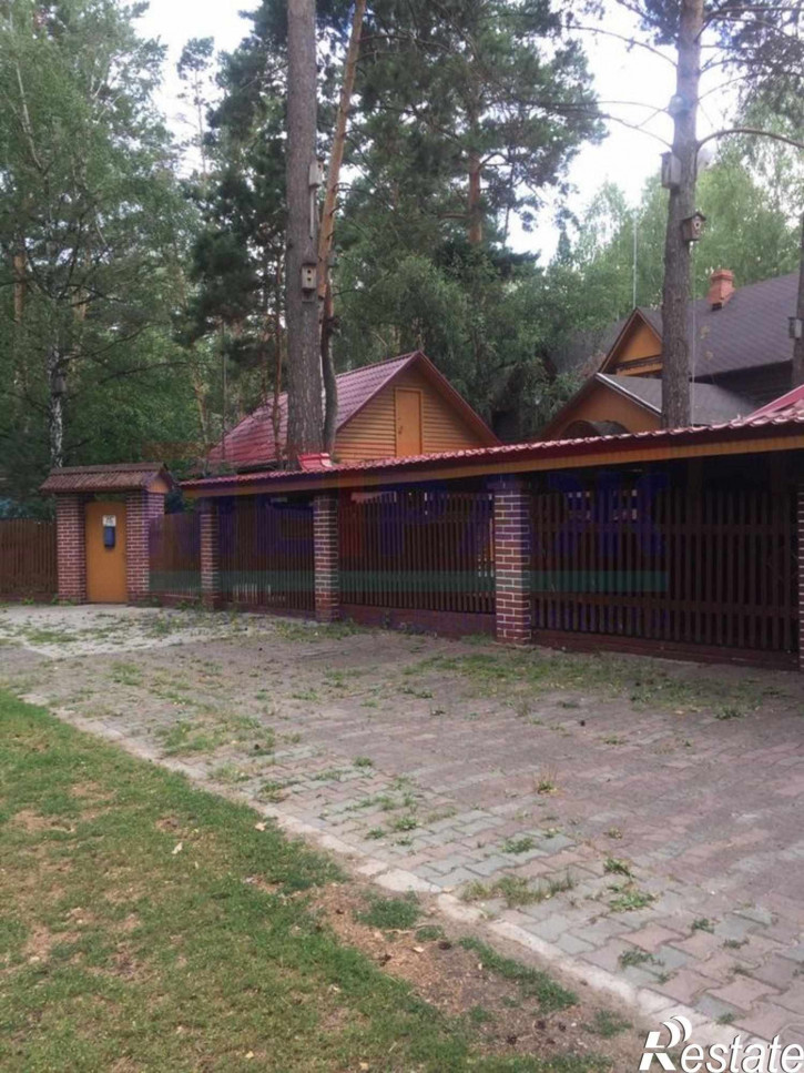 Коттедж/дом Боровая