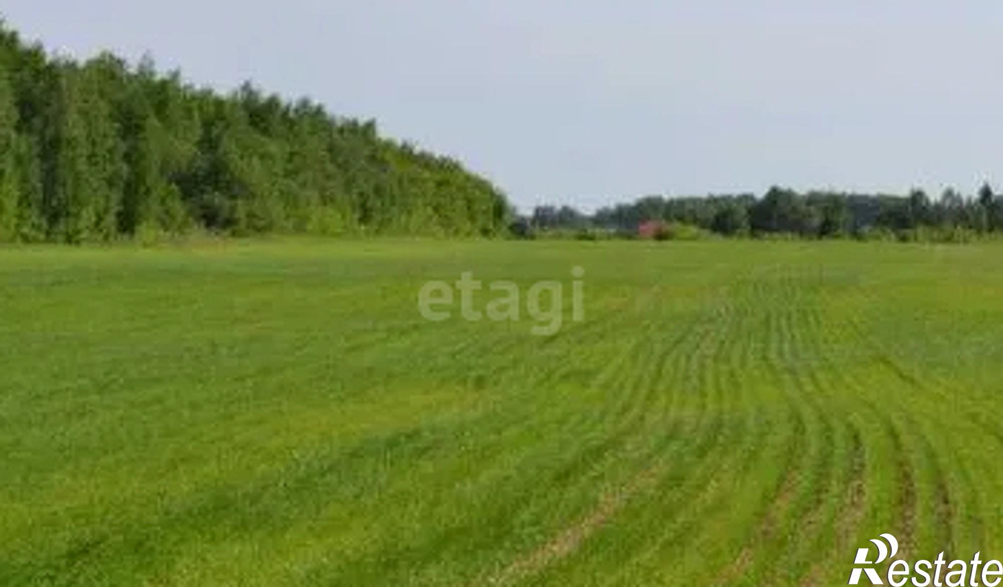 Купить землю, земельный участок за 6 200 000 рублей на Array