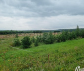 земля 77 сот 04К-044