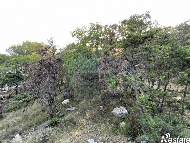 Земельный участок шоссе Алупкинское