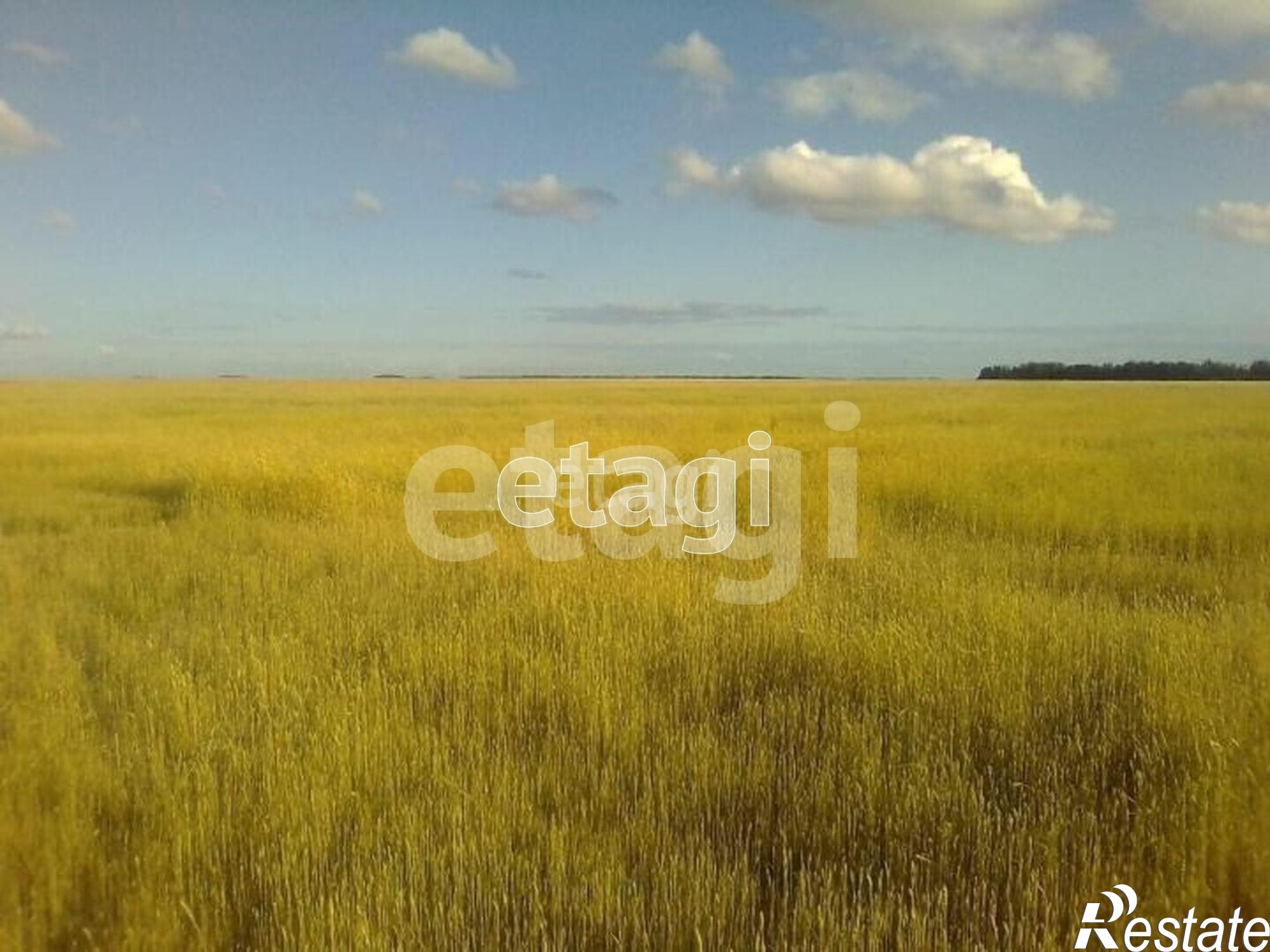 Купить землю, земельный участок за 4 200 000 рублей на село Кулаково