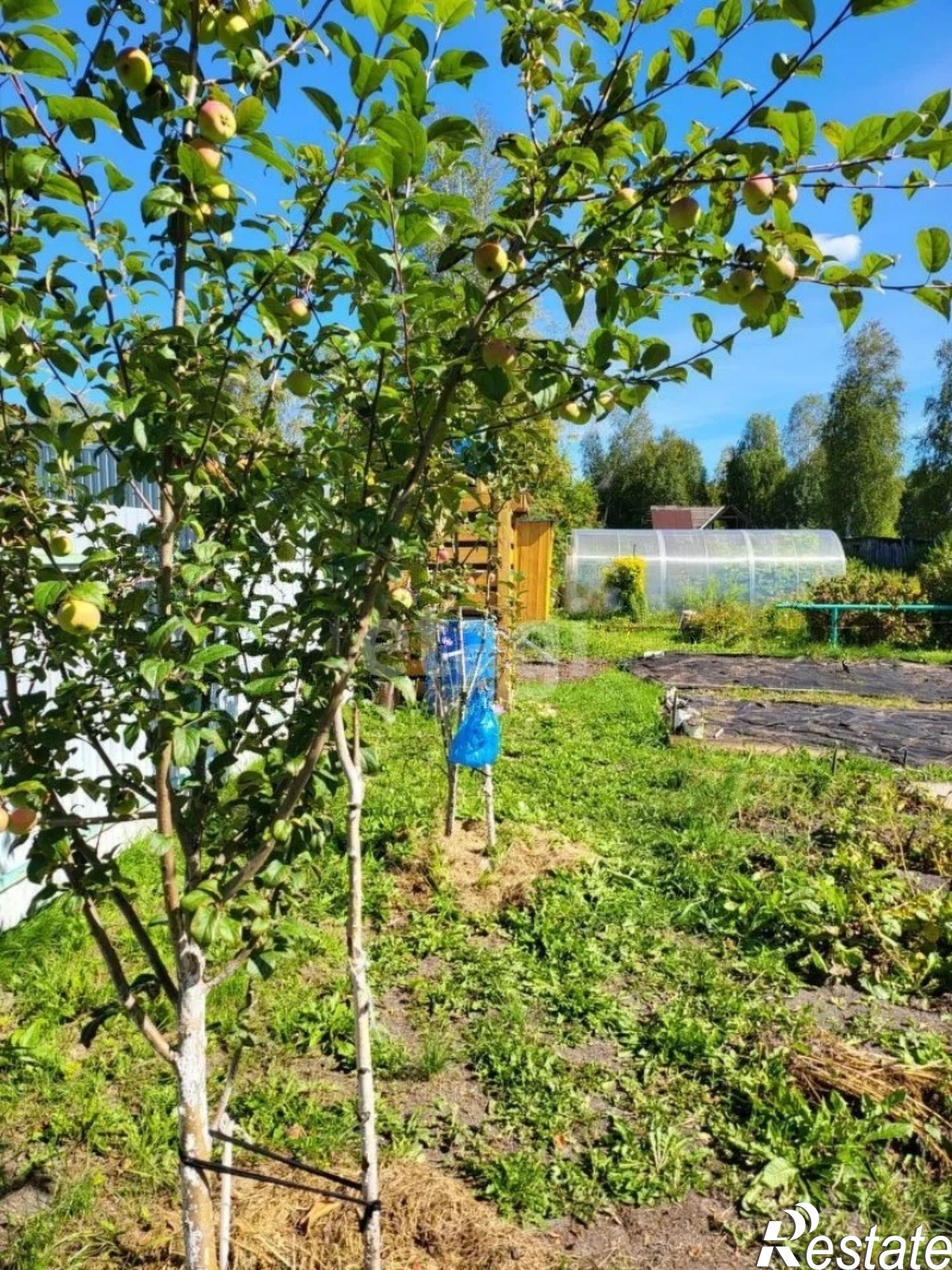Купить дачу, дом, коттедж за 1 550 000 рублей на 27-я линия,