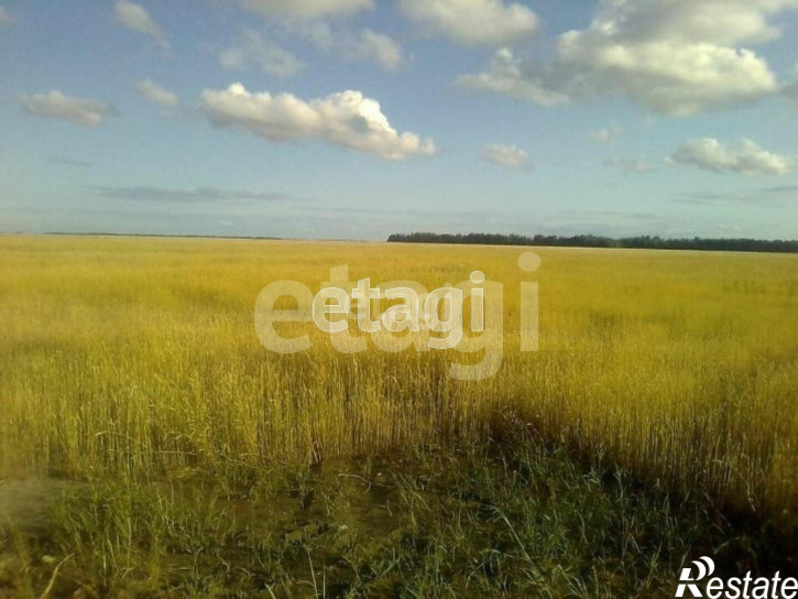 Земельный участок село Кулаково