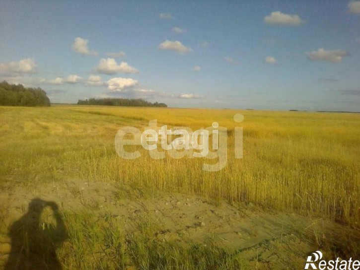 Земельный участок село Кулаково